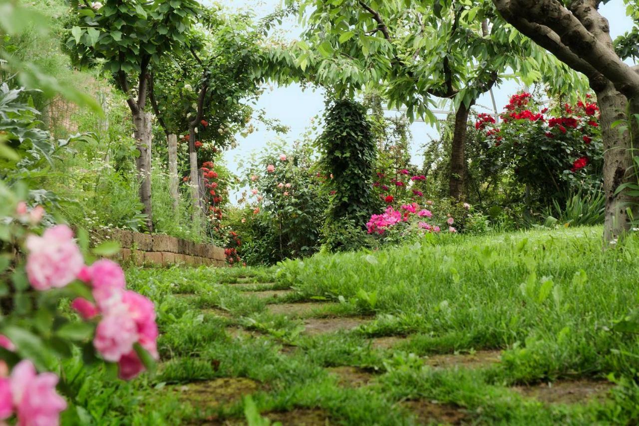 Carossi B&B Castagnole delle Lanze Dış mekan fotoğraf